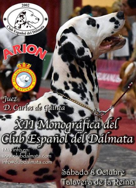 Club Español del Dálmata - Dálmata. Belleza. XII MONOGRÁFICA DEL CLUB ESPAÑOL DEL DÁLMATA (Toledo   España)