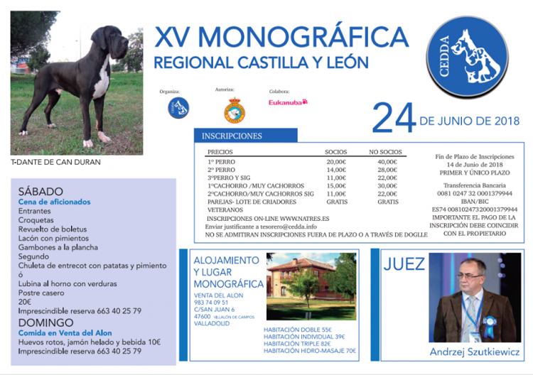 Belleza.  XV MONOGRÁFICA REGIONAL DEL DOGO ALEMÁN DE CASTILLA Y LEÓN (Valladolid   España)