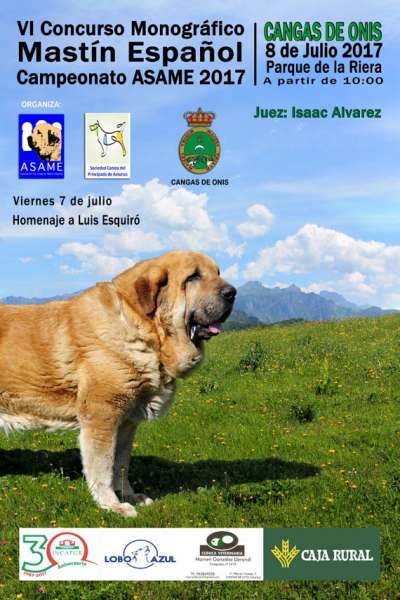 VI CONCURSO MONOGRÁFICO DEL MASTÍN ESPAÑOL