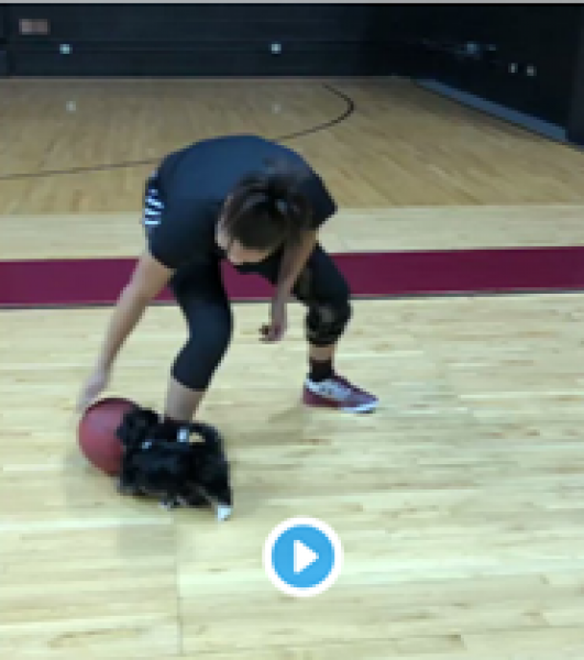 Capture vídeo de YouTube