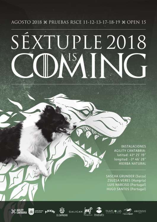 SEXTUPLE PRUEBA DE AGILITY 2018