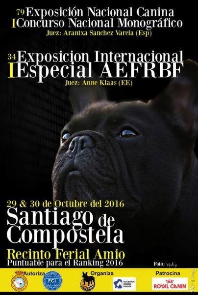 Bulldog Francés. Belleza. I ESPECIAL AEFRBF dentro del marco de la 34 EXPOSICIÓN INTERNACIONAL CANINA (A Coruña   España)