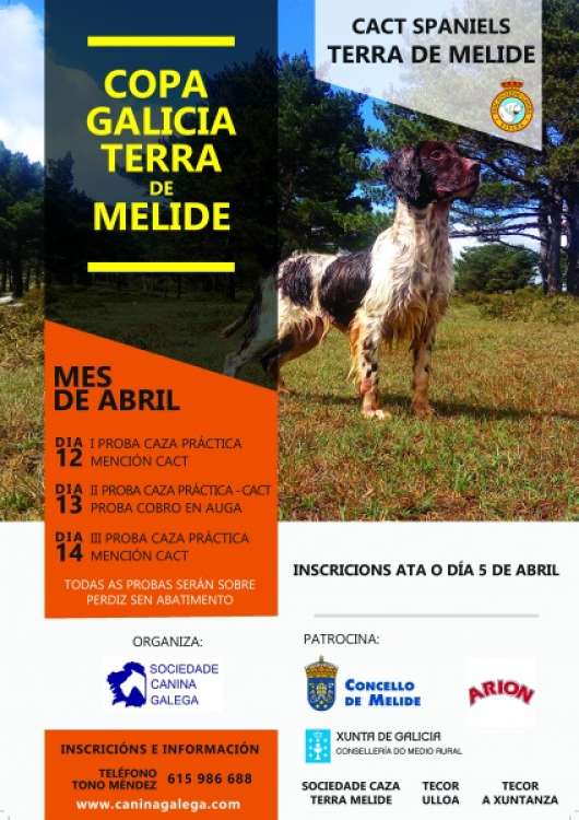 Sociedad Canina Gallega - Trabajo. I  II y III Proba de Traballo Internacional para Spaniels (A Coruña   España)