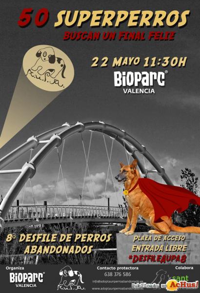 BIOPARC enseña a los más pequeños a respetar nuestro planeta.