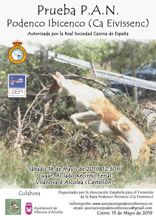 PETSmania - PRUEBAS P.A.N. DEL PODENCO IBICENCO