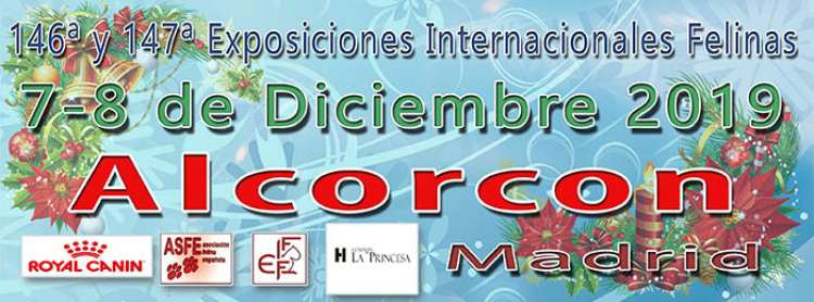 Belleza. 146ª y 147ª EXPOSICIONES INTERNACIONALES FELINAS (Madrid   España)