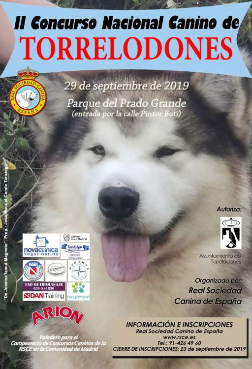Belleza. II CONCURSO NACIONAL CANINO DE TORRELODONES (Madrid   España)