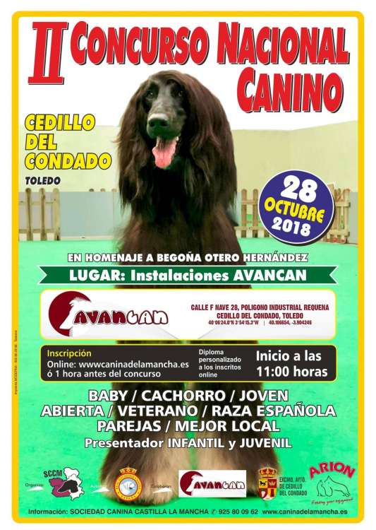 Belleza. II CONCURSO NACIONAL CANINO (Toledo   España)