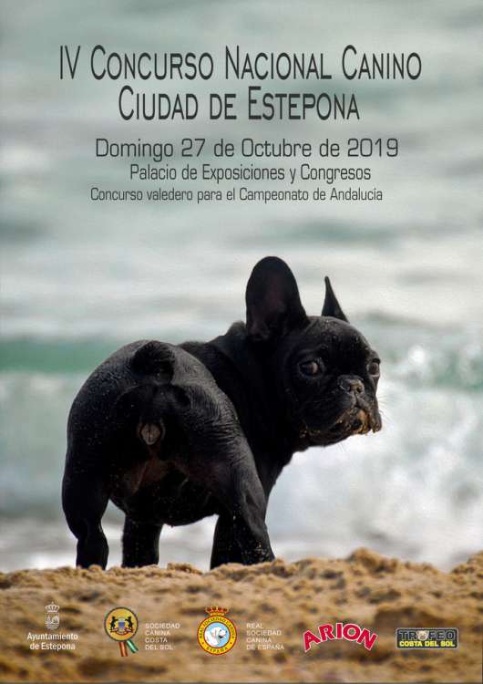 Belleza. IV Concurso Nacional Canino Estepona (Málaga   España)