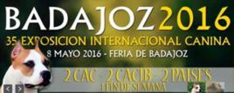 Badajoz acoge la 35ª Exposición Internacional Canina.