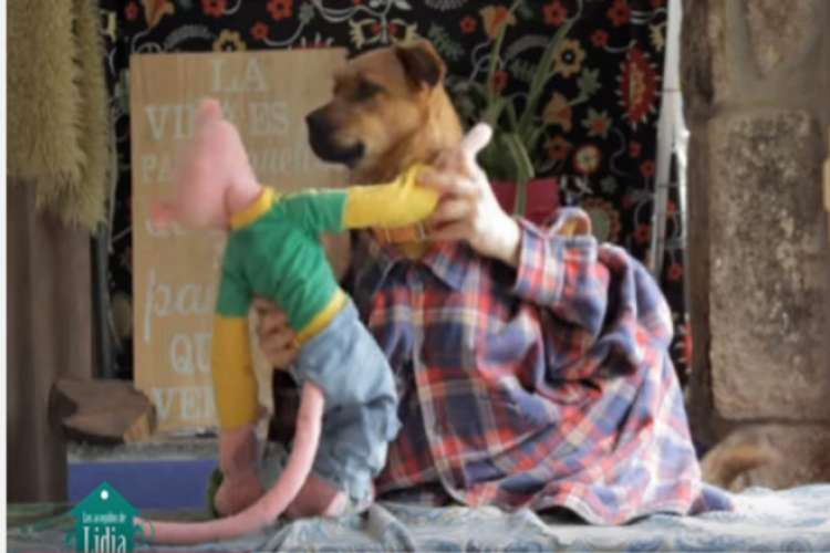 Despacito ayudará a los perros para que sean adoptados Despacito ayudará a los perros para que sean adoptados