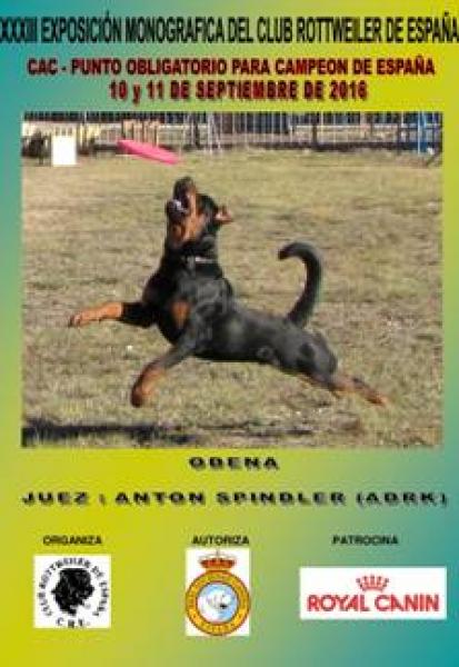 Ódena(Barcelona) acoge la XXXIII Exposición Monográfica del Club Rottweiler de España