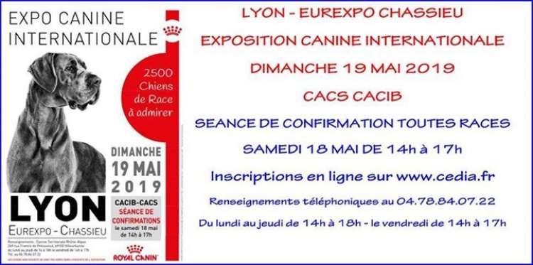 EXPOSITION CANINE INTERNATIONALE (CACS   CACIB)