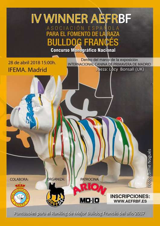 Bulldog Francés. Belleza. IV WINNER ASOCIACIÓN ESPAÑOLA PARA EL FOMENTO DE LA RAZA BULLDOG FRANCÉS 2018  (Madrid   España)