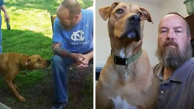 Shane Godfrey junto a su perro al slair del hospital(Foto El Liberal Mundo Web)