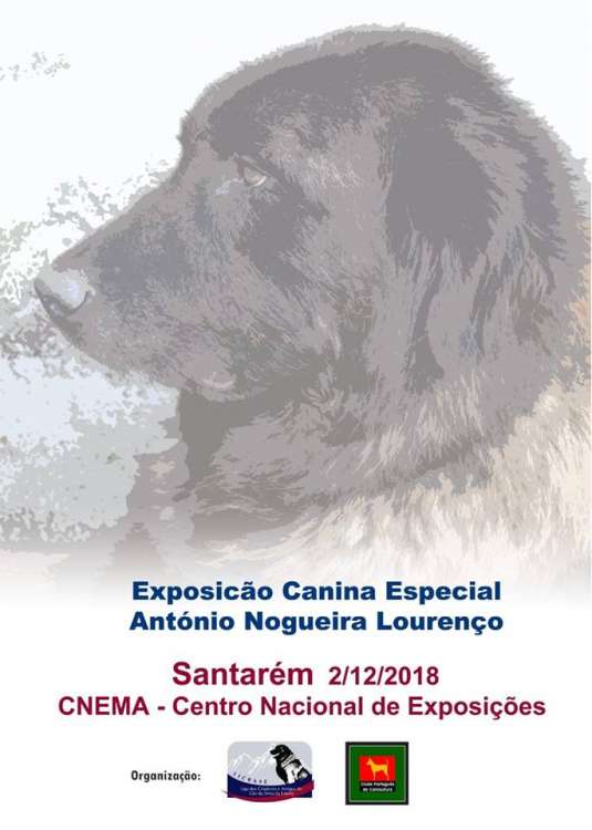 PETSmania - E. C. Especializada da LICRASE (Cão da Serra da Estrela) (CAC)
