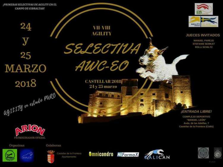 Agility. Prueba de Agility   SELECTIVA (Cádiz   España)