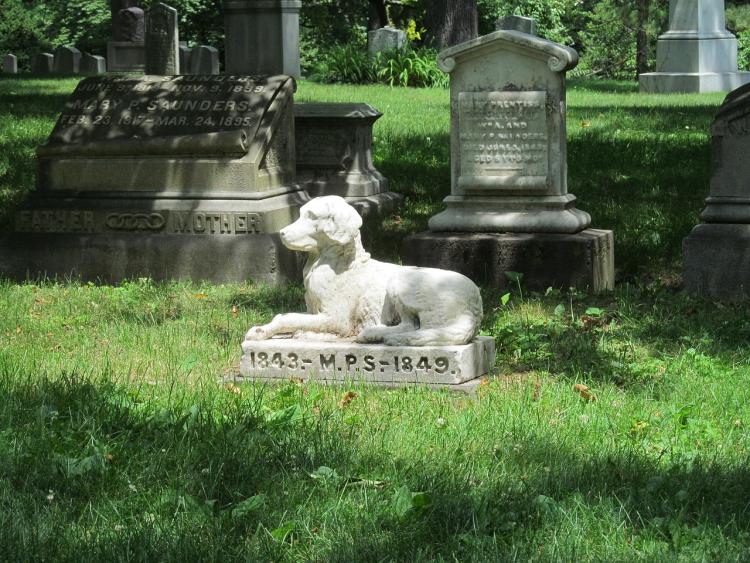 Cementerio de mascotas