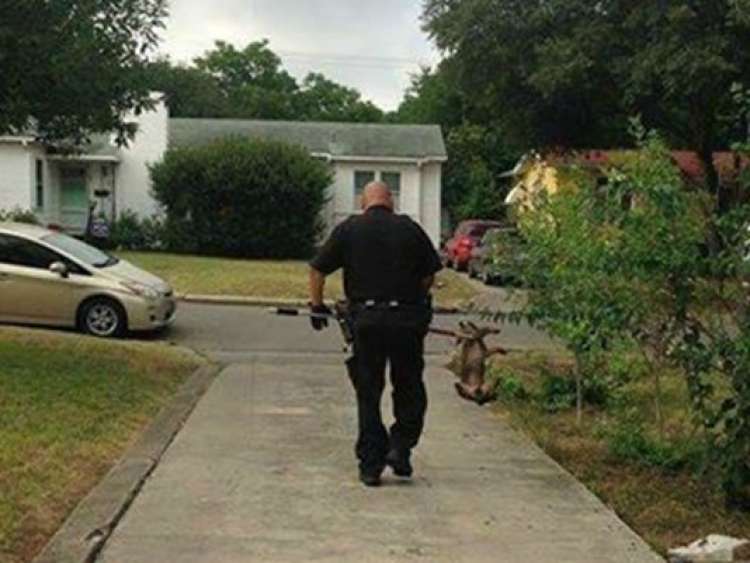Foto del policía llevando al perro por el cuello con el lazo