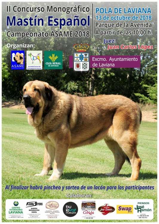 II Concurso Monográfico Mastín Español