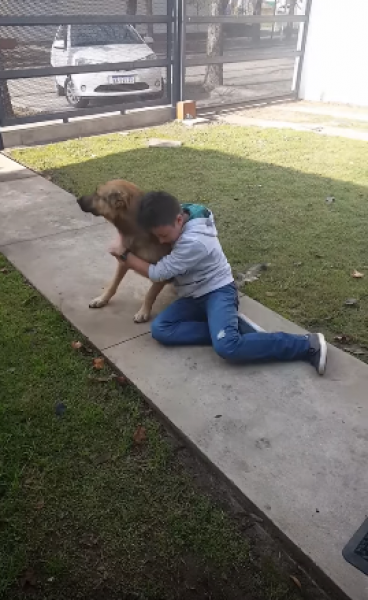 Reencuentro de Rocco con su perro desaparecido Reencuentro de Rocco con su perro desaparecido