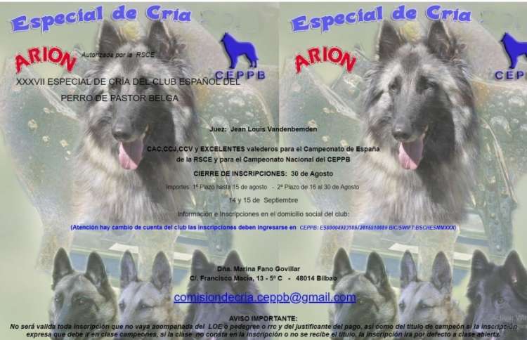 PETSmania - Pastor Belga.