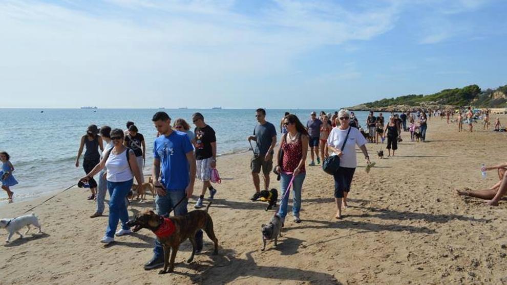 En una de las anteriores ediciones de la caminata. Foto La Vanguardia En una de las anteriores ediciones de la caminata. Foto La Vanguardia
