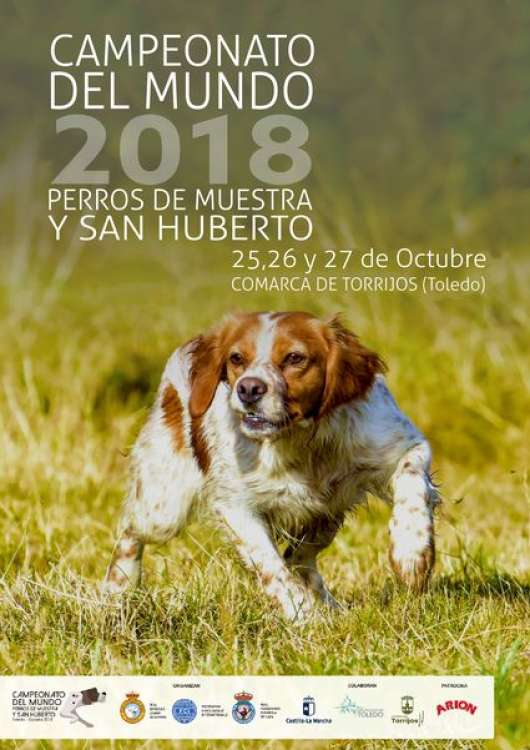 Real Sociedad Canina de España - Muestra.  CAMPEONATO DEL MUNDO DE PERROS DE MUESTRA Y SAN HUMBERTO (Toledo   España)