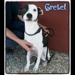 Gretel.  Gretel.