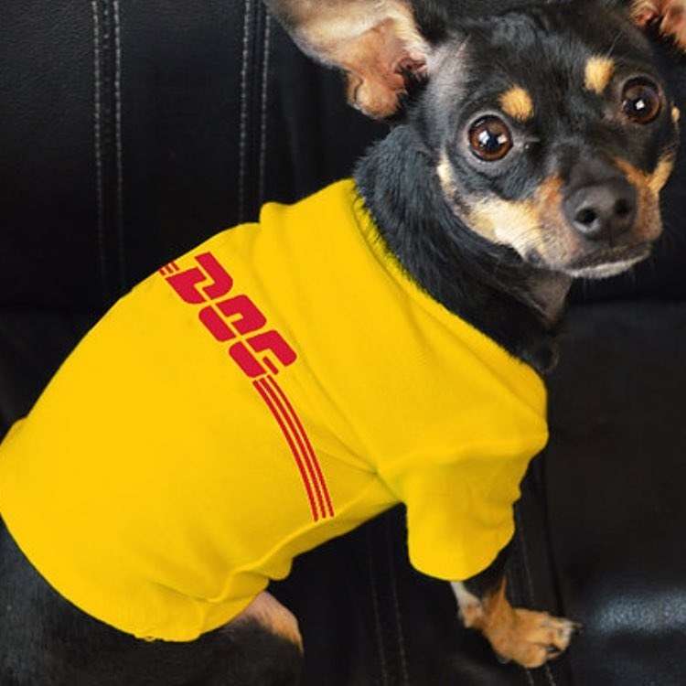 PETSmania - La colección incluye una camiseta amarilla con un logo DOG rojo que recuerda a la célebre insignia de DHL