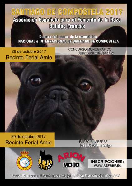 CONCURSO MONOGRÁFICO (SANTIAGO DE CAMPOSTELA 2017)