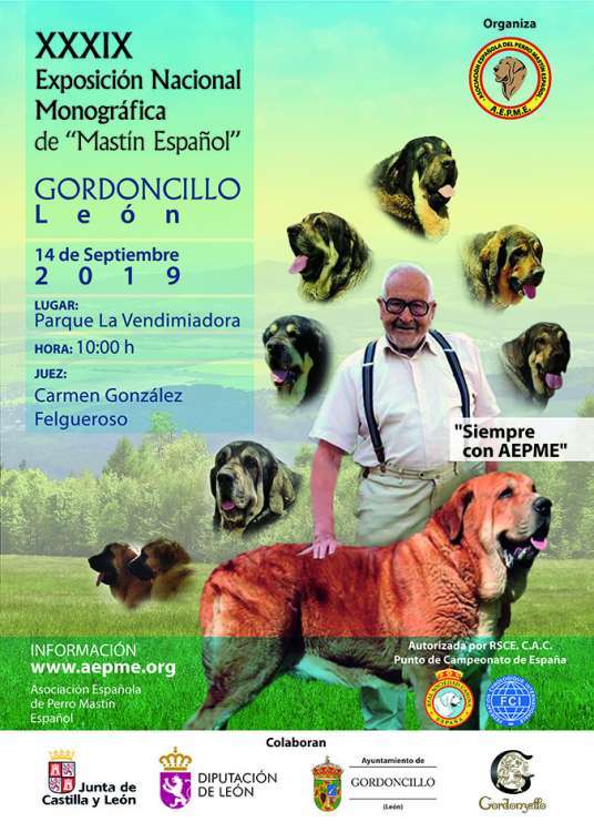 Mastín Español. Mastín Español.