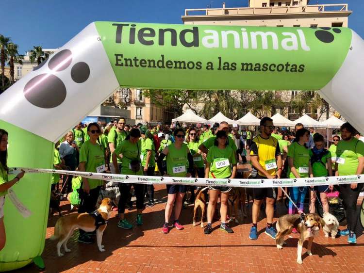 (Fuente  Málaga Dog Party)