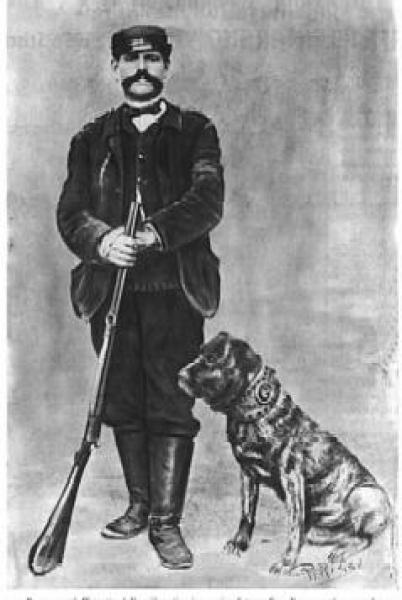 Mastín Napolitano. Mastin Napolitano Old Style y Mastin Napolitano de Belleza o Exposición