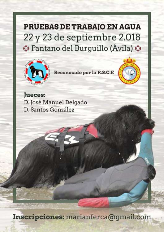 PRUEBAS DE TRABAJO EN AGUA   Pantano de Burguillo   (Ávila)