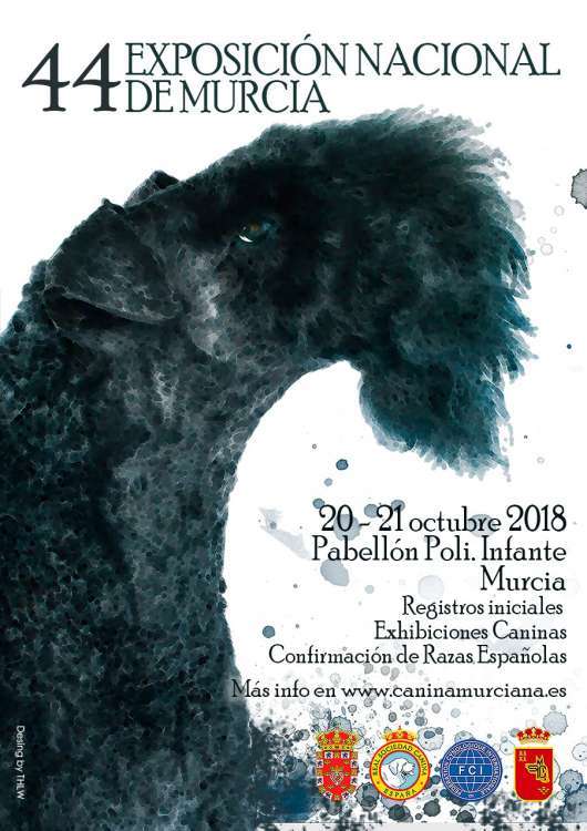 44 EXPOSICIÓN NACIONAL DE MURCIA
