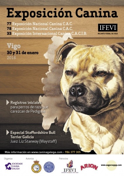 Belleza. 78 Exposición Nacional Canina CAC & 33 Exposición Internacional Canina CACIB  ( - España)