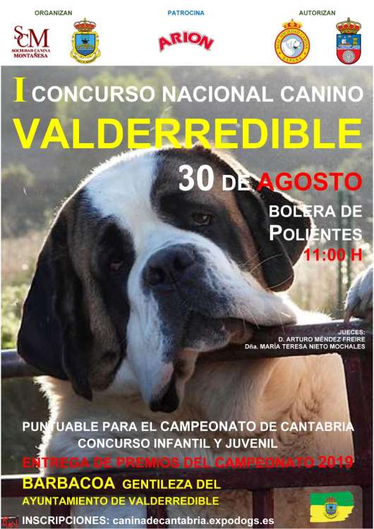 Belleza. Concurso Nacional Canino de Valderredible (Polientes) (Cantabria   España)