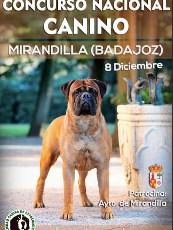PETSmania - Concurso Nacional Canino Mirandilla