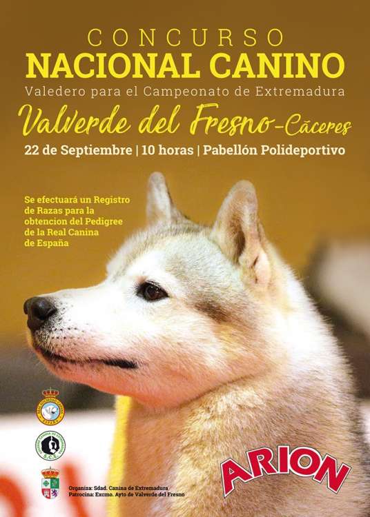 Belleza. CONCURSO NACIONAL CANINO (Cáceres   España)