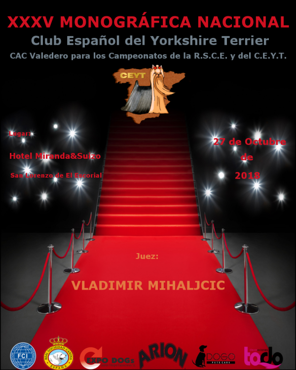 Yorkshire Terrier. Belleza. XXXV Monográfica Nacional Yorkshie Terrier (Madrid   España)