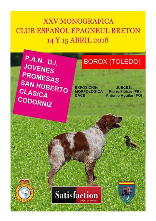 XXV Monografica Club Español Epagneul Breton
