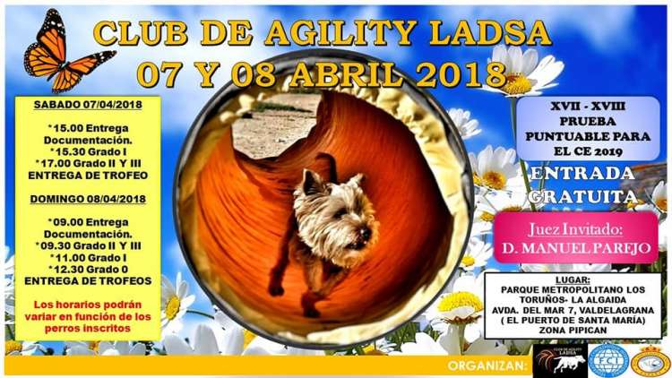 CLUB DE AGILITY LOS ANGELES DE SAN ANTÓN   LADSA