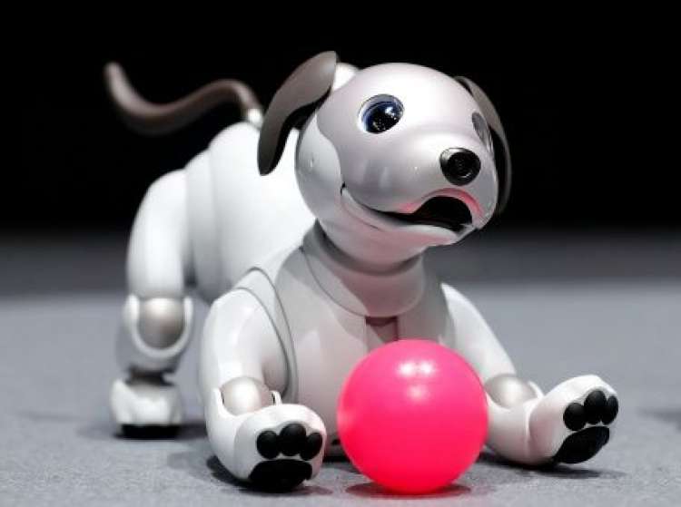 El nuevo perro robot Aibo de Sony | Foto  Reuters