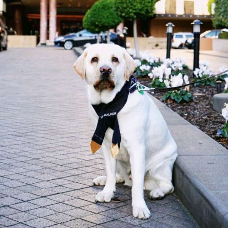 Foto Instagram Park Hyatt Melbourne Foto Instagram Park Hyatt Melbourne