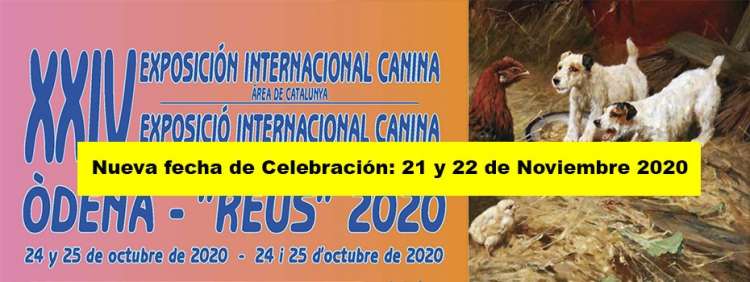 Associació Canina Unió Cinófila de Catalunya - Belleza. XXIV EXPOSICIÓN INTERNACIONAL CANINA (Tarragona   España)