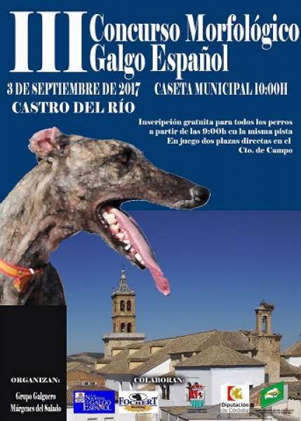 CLUB NACIONAL DEL GALGO ESPAÑOL - Galgo Español. Belleza. III CONCURSO MORFOLÓGICO DEL GALGO ESPAÑOL (Córdoba   España)