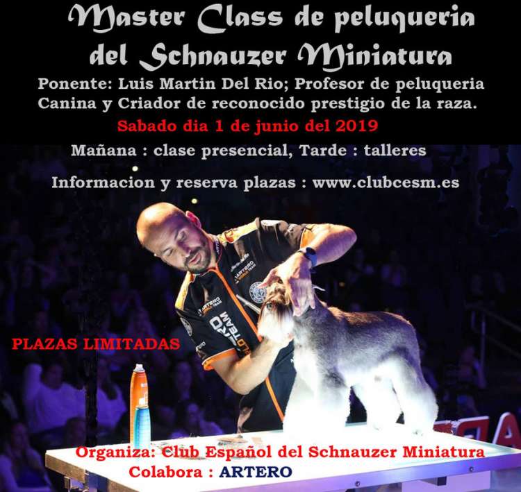 Club Español del Schnauzer Miniatura - Cursos. MASTER CLASS DE PELUQUERIA DEL SCHNAUZER MINIATURA (Pontevedra   España)