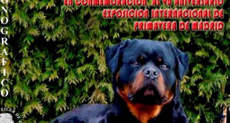 IV Concurso Monográfico del Rottweiler Campeonato de la Comunidad de Madrid