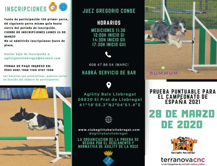 Agility. Prueba de Agility (Barcelona   España)